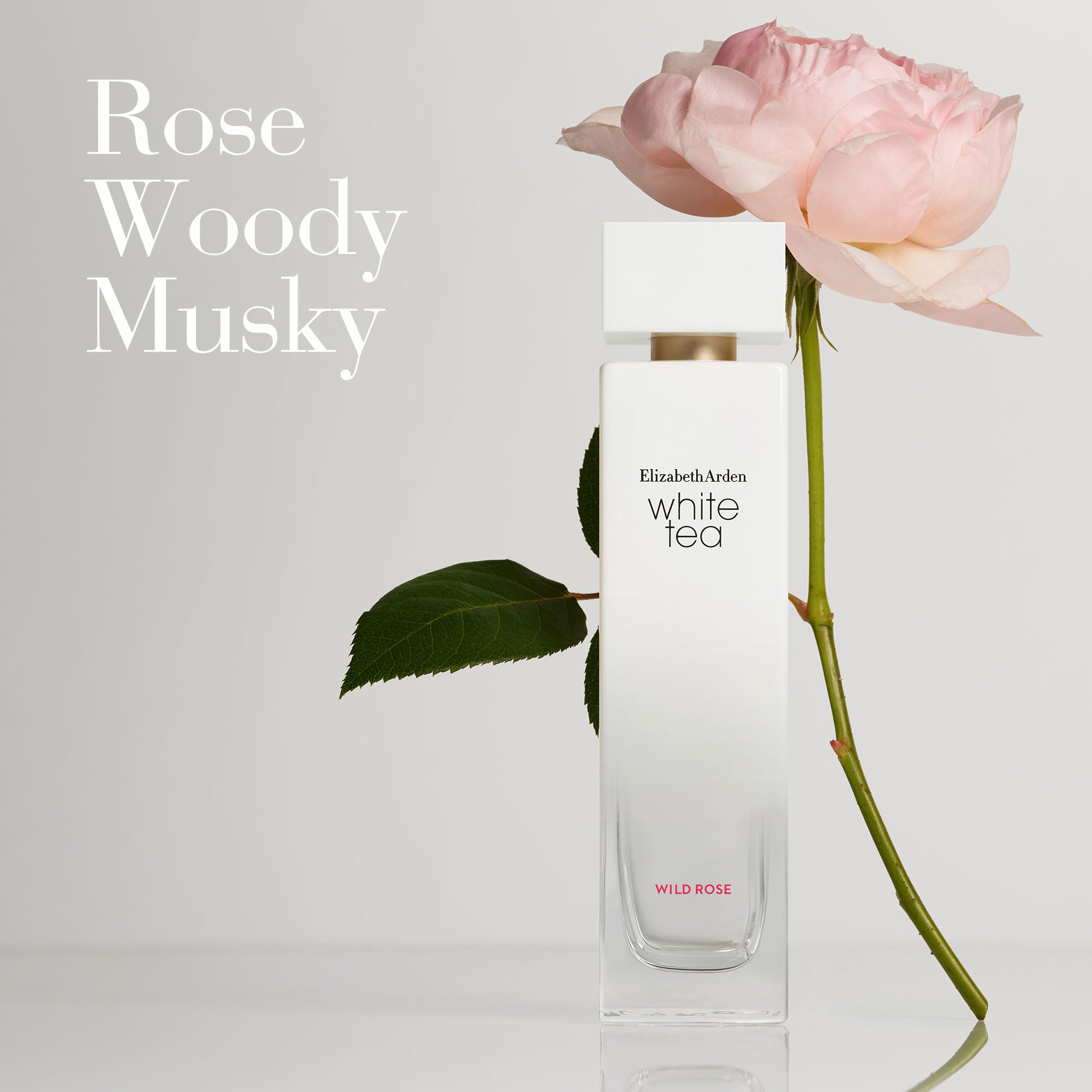 White rose elizabeth discount arden