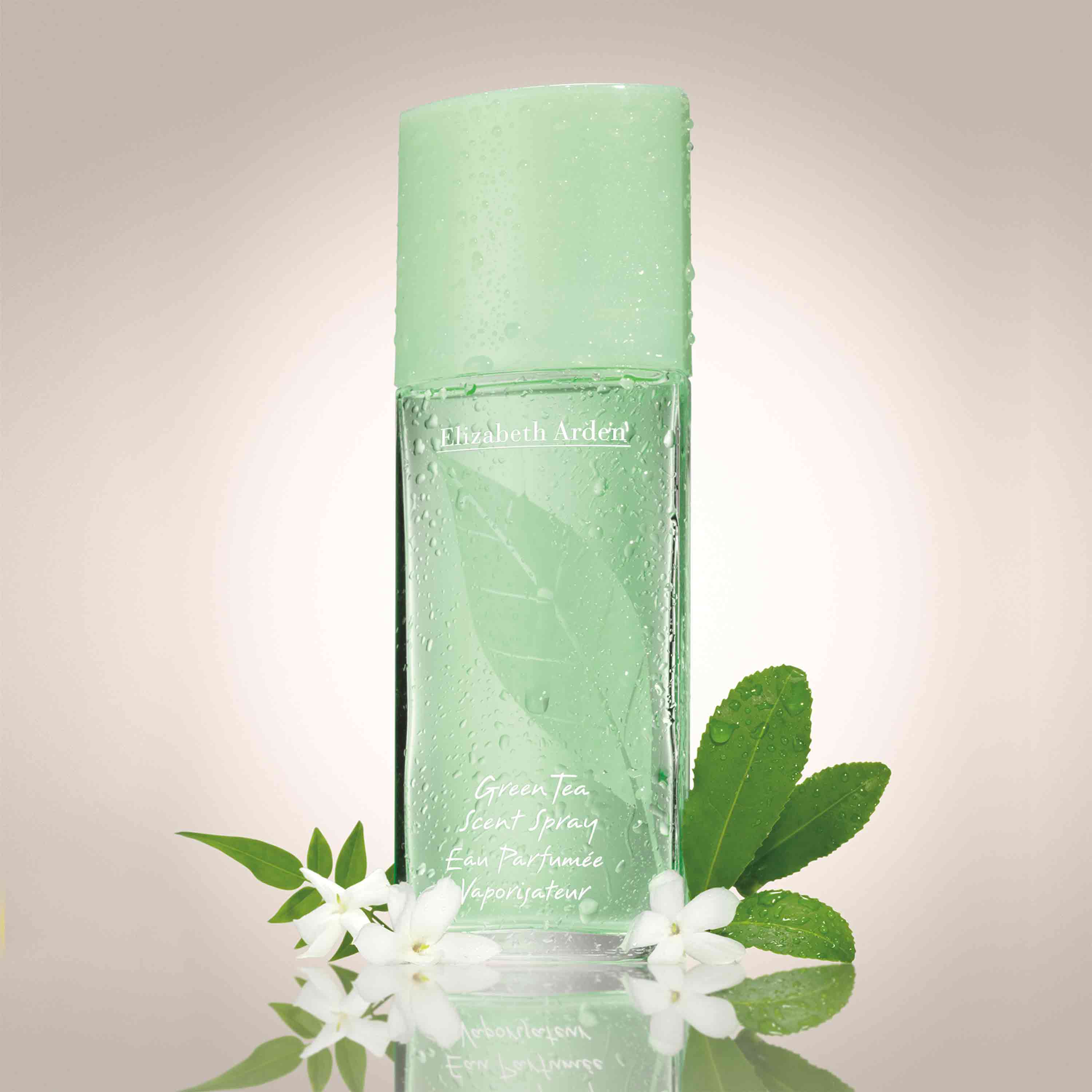 Amazon.com : Bath & Body Works Fine Fragrance Mist Travel Size Mini Purse  Spray 2.5 Ounce (Gingham Fresh) : Beauty & Personal Care